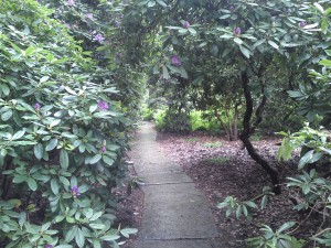 sentiero tiergarten