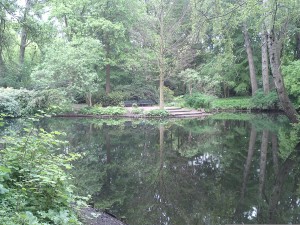 Tiergarten Tiergarten