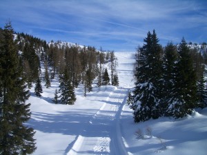 Ski area Monte Verena