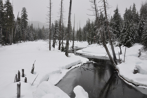Whistler Olympic Park
