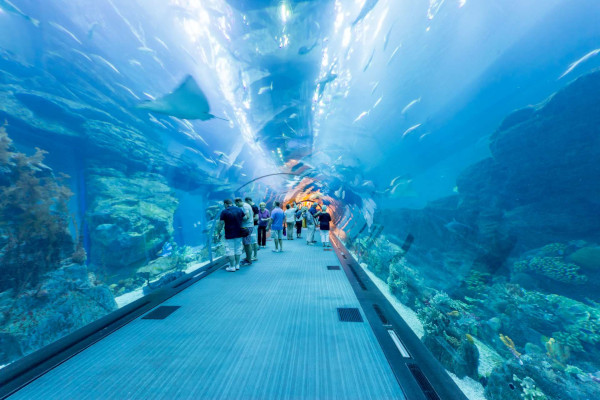 Tunnel nell'acquario di Dubai